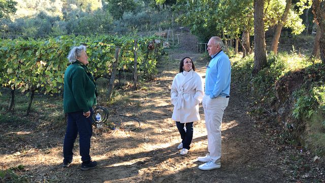 Brunello di Montalcino exclusivo de Florencia