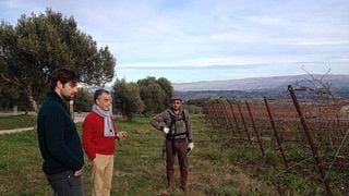 Degustazione di vini e visita a Casa Comerci