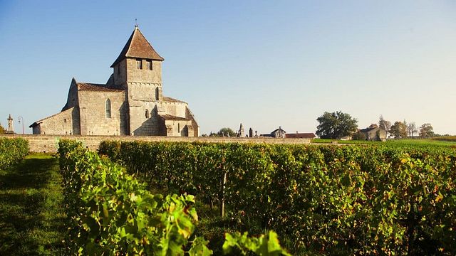Degustação de vinhos no Chateau Lafleur Beausejour