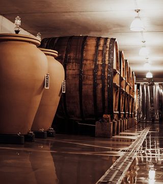 Rhône Vineyard Tour & Châteauneuf-du-Pape Tasting
