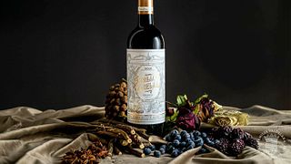 Degustação de vinhos populares e tour nas Bodegas Valdelana