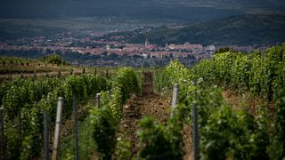Domaine Takacs Winery