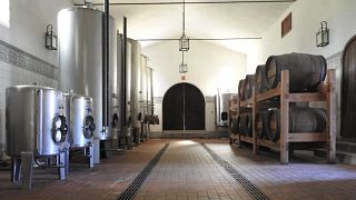 Besök och vinprovning på Quinta da Grimpa i Bairrada