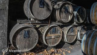 Visita alla tenuta e alla distilleria