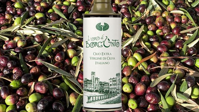 Degustazione di prodotti tipici toscani di Borgunto