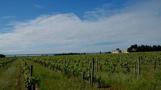Degustação de vinhos populares no Domaine De Calet