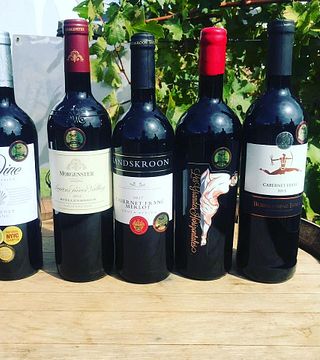 Degustazione di vini e tour alla tenuta Bushmanspad