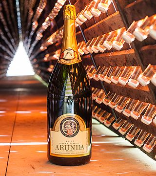 Degustação de vinhos e passeio em Arunda