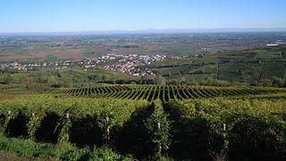 Un viaje sensorial por nuestra región
