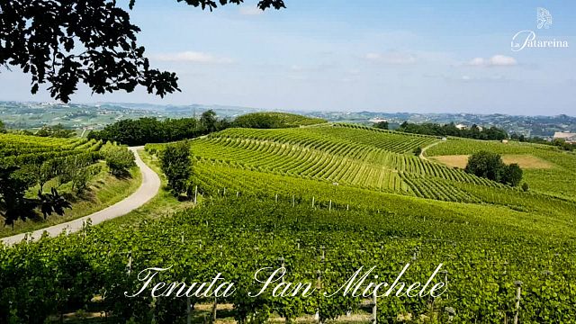 Dégustation de vins et visite à La Patareina