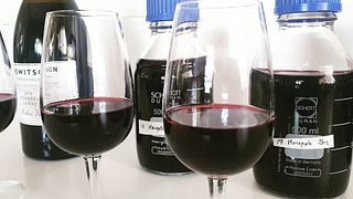 Barossa Bliss: Hewitson Wine Tasting in South Australia