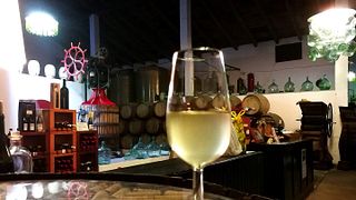 Degustazione di vini a Bodegas Rivero