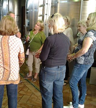 Gran cata de vinos