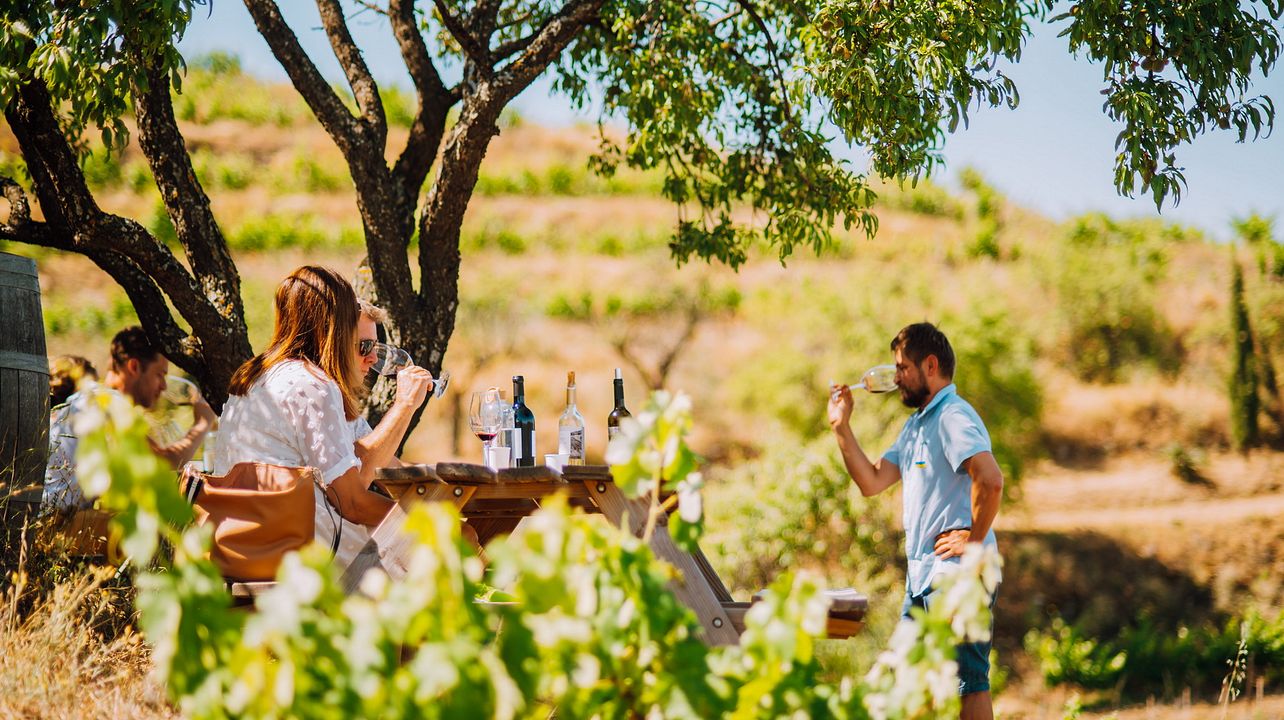 Ruta del vino y el aceite de oliva en la región vinícola del Priorat, guiada por un local