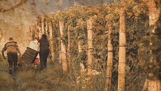 Dégustation de vins et visite chez Beppe Marino