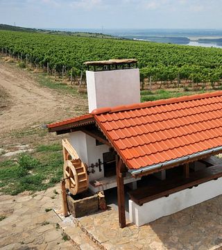 Tour dei vigneti e delle cantine e degustazione di vini | Castello Burgozone 