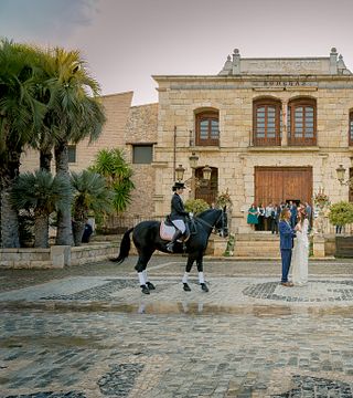 Tour della tenuta con degustazione di vini: 4 vini e 2 oli d'oliva