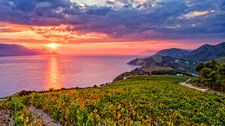 Dalmatia's Terra Madre Vineyard & Wine Escape