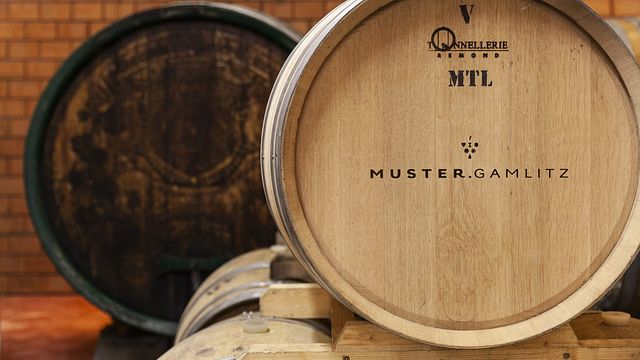 Cata de vinos y visita guiada en Weingut Muster Gamlitz