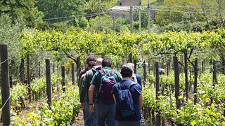 Weinprobe und Tour im Tenuta San Giaime