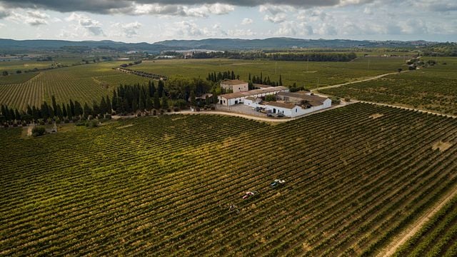 Cava Oriol Rossell: A Family-Owned Winery in Catalonia