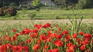 Weinprobe und Kellerführung im Château Pech d'André