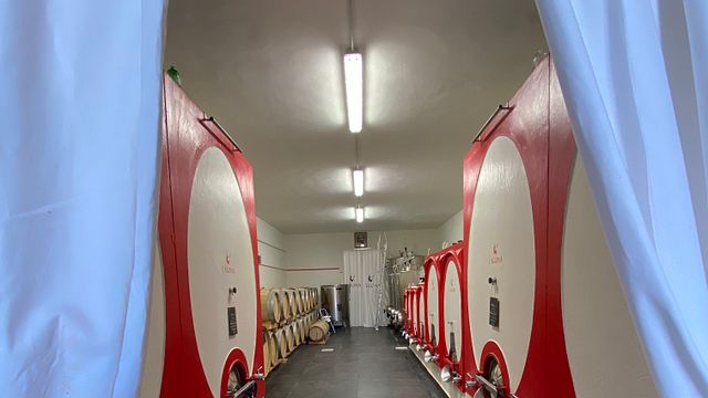L’Agona Vini