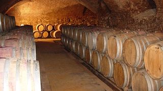 Weinprobe und Tour bei Luretta