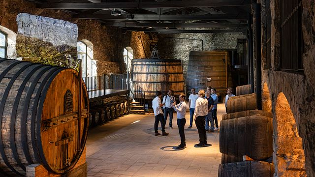 Wine Tasting at Burmester Wine Cellar