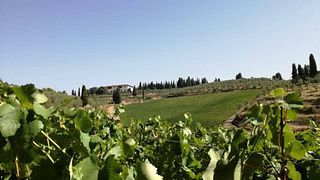 Visita con degustazione