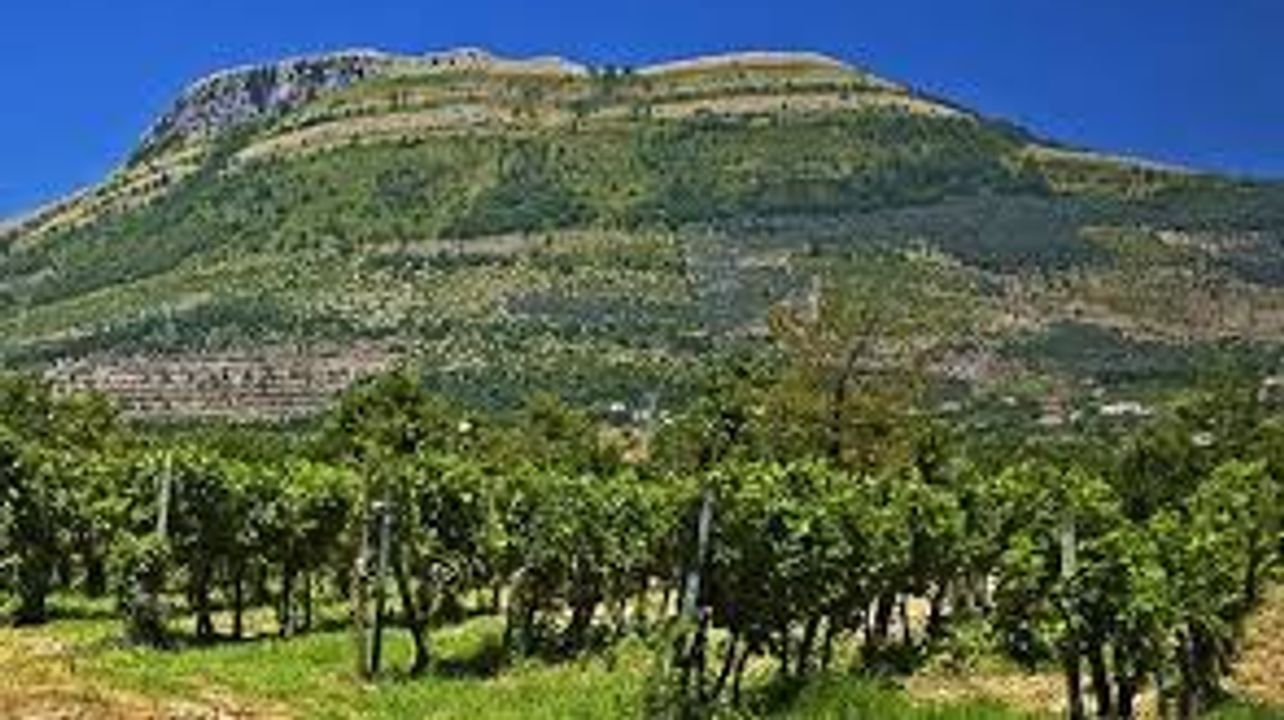 Tour de vinhos Picentini 1