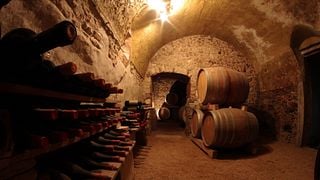 Visita a la bodega y cata de vinos en Terre Di Pietra 