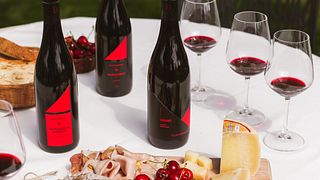Flavors of Valpolicella: Gourmet Pit Stop