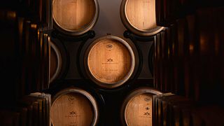 Dégustation de vins et de mets en 3 plats