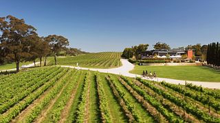 Passeio de bicicleta elétrica "Um sabor de Hahndorf" com comida e vinho gourmet