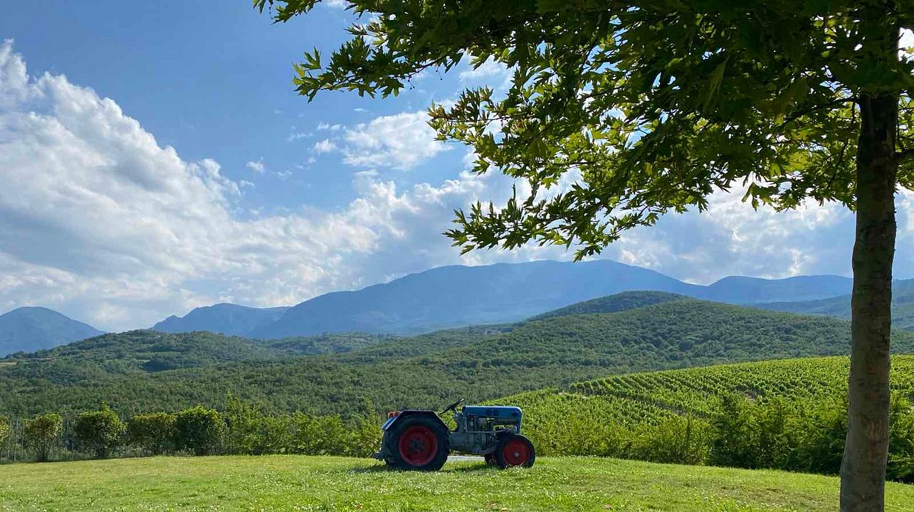 Discover Ktima Kir Yianni, Naoussa, Northern Greece (Pick Up from Thessaloniki)