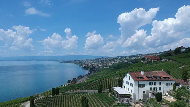 Degustazione di cioccolato e vino al Domaine de la Crausaz