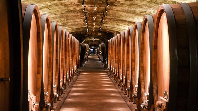 Cata de vinos y visita guiada al Juliusspital Würzburg