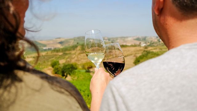 Quinta da Folgorosa : Assemblage et dégustation de six vins