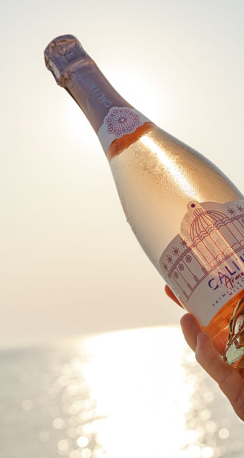 Armonica Sparkling wine rosé brut