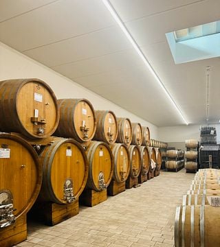 VISITA GUIADA A VINHEDOS E ADEGA COM HARMONIZAÇÃO DE VINHOS E COMIDA