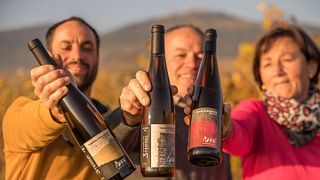 Wine Tasting at Domaine Mann - Vignoble Des 3 Terres