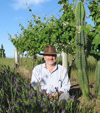 Weinprobe und Tour in der Bodega Cerro Chapeu