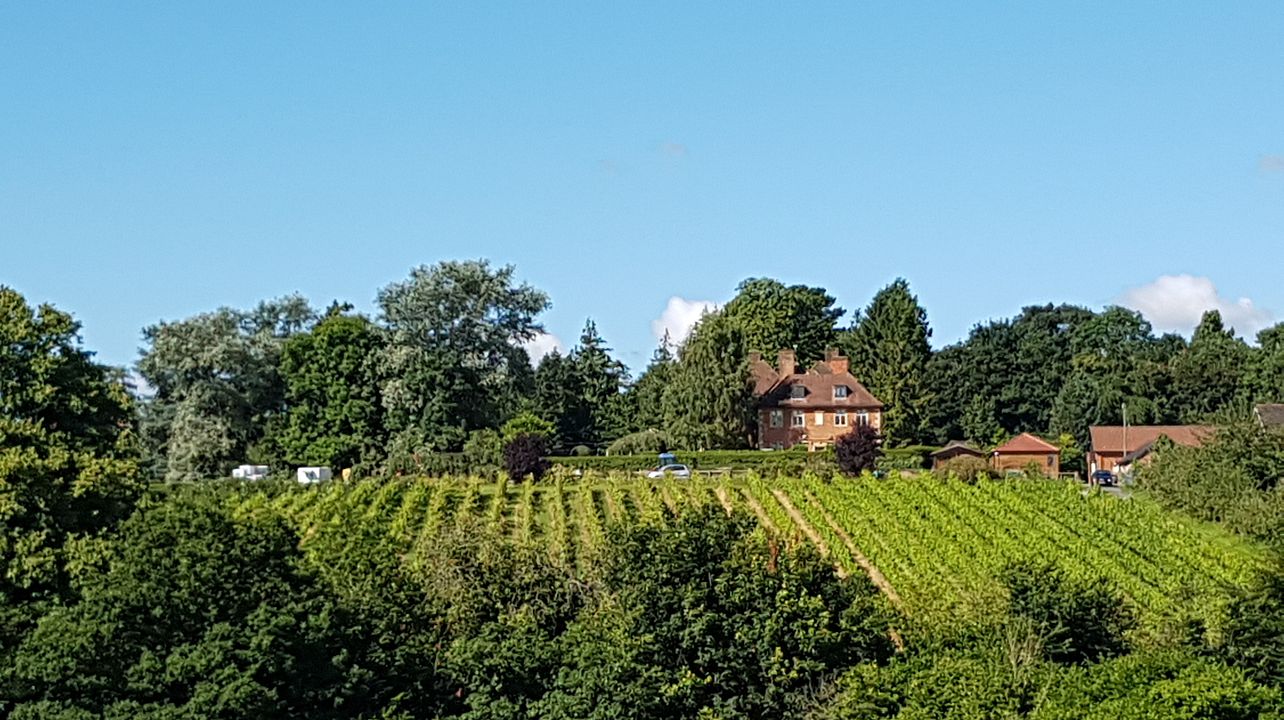 Tour e degustação de vinhos pessoais para dois
