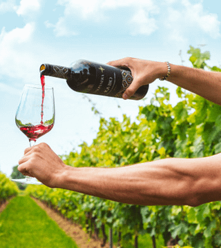Essenzen der Region – Eine Verkostung von drei Friuli Aquileia DOC-Weinen in der Cantina Valpanera