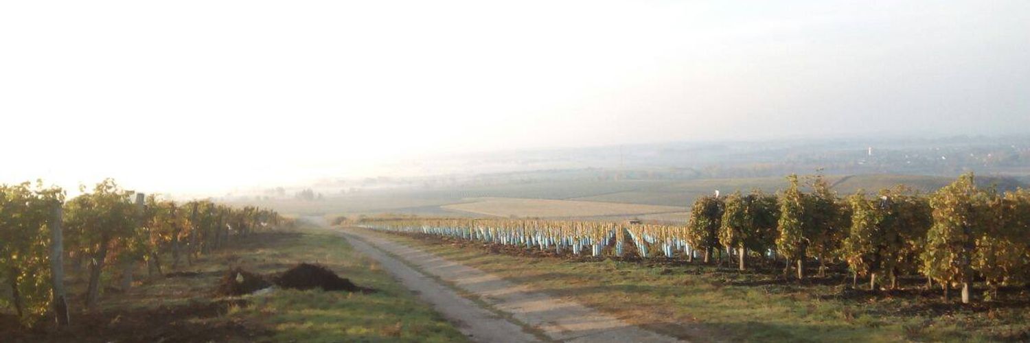 Pannon-tokaj-winery-vineyards Oe2jgj