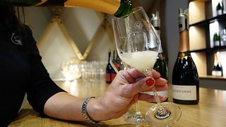 Visite privée en petit groupe des vins anglais