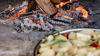Cata de vinos y almuerzo/cena en viñedo Kairos