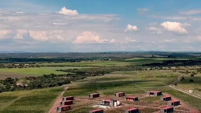 Degustazione di vini e visita a Tres Raíces