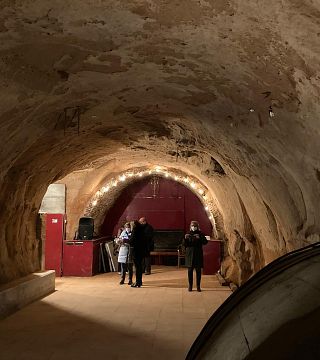Besuch des Weinguts aus dem 16. Jahrhundert + Weinprobe | Bodegas Lecea